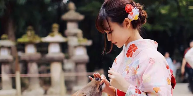 ならまちを遊びつくせプラン