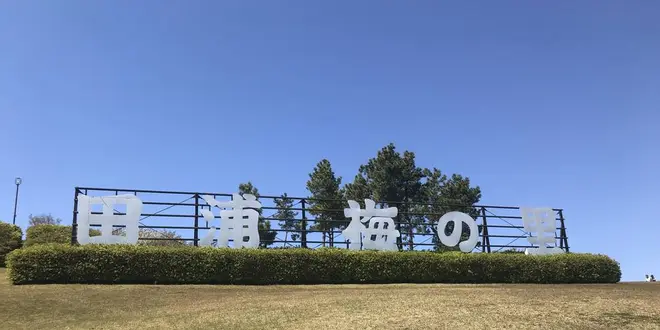 【横須賀】午後から散歩プラン