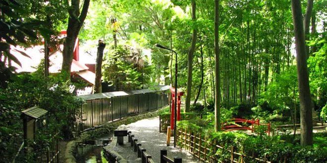 散歩部　国分寺·小金井編
