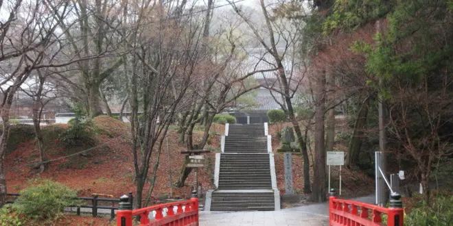 根来衆と和歌山の歴史