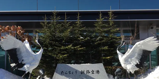 魅惑の知床流氷ツアー