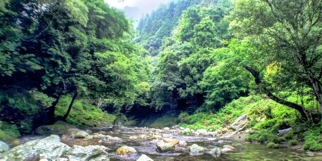 四国のまん中、自然と寺とカフェ。
