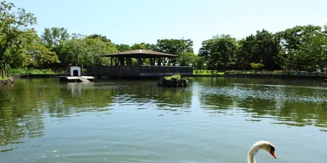手ぶらで都電に乗ってプチピクニックしよう！