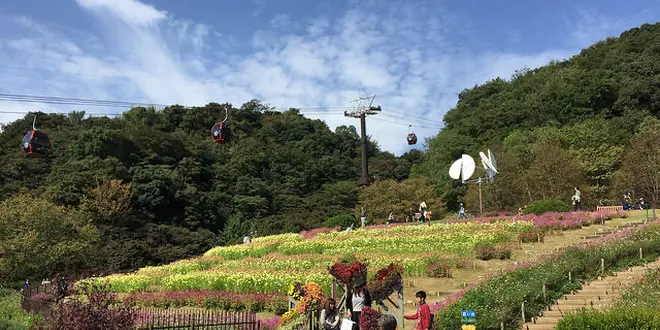 神戸の北をピクニック♪
