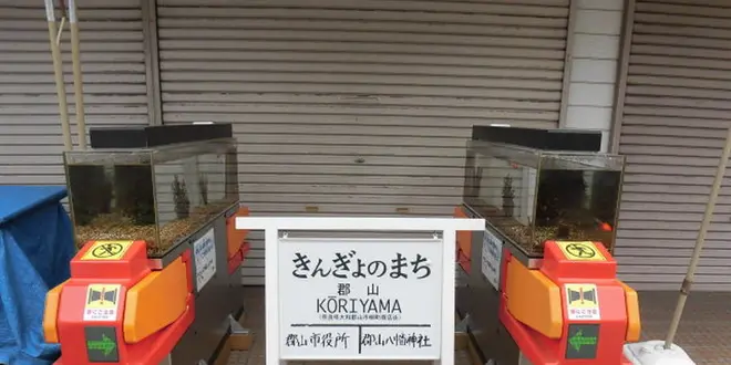 やりすぎ～！？(笑)がおもしろい奈良のまちおこし