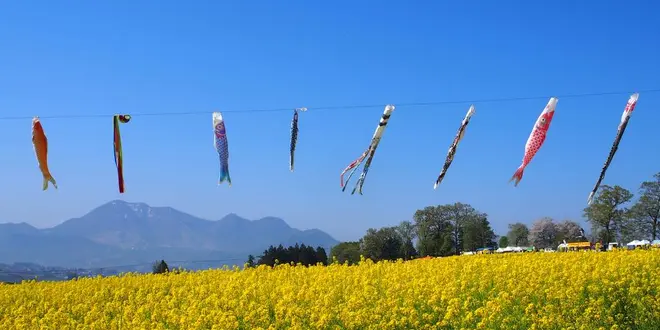 菜の花まつりと野沢温泉を満喫、充実の１泊２日