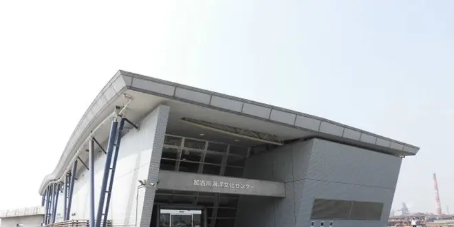 浜の宮公園でプール！海洋文化センターで海を学び、加古川牛かつめしを味わう