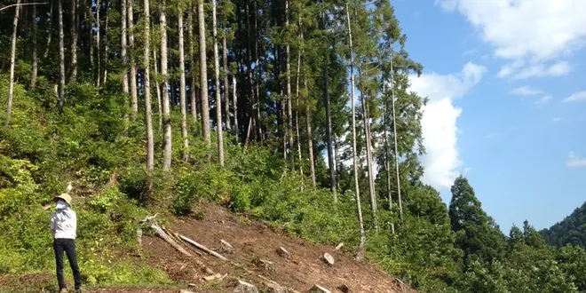 新潟の北のはじっこ！山北の暮らしの中を歩く