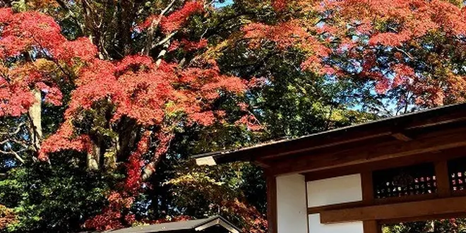 歴史を感じるまち歩き。岩手・金ケ崎タイムトリップ