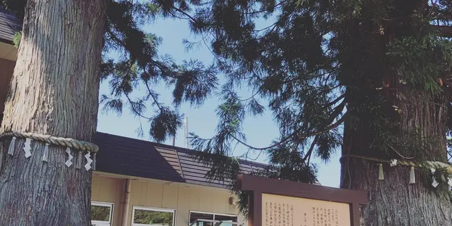富山県立山美女平散策