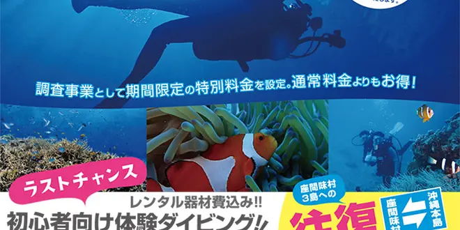 座間味ダイバーズエッグプロジェクト！   国立公園 座間味島で、体験ダイビングをしよう！〜2／28