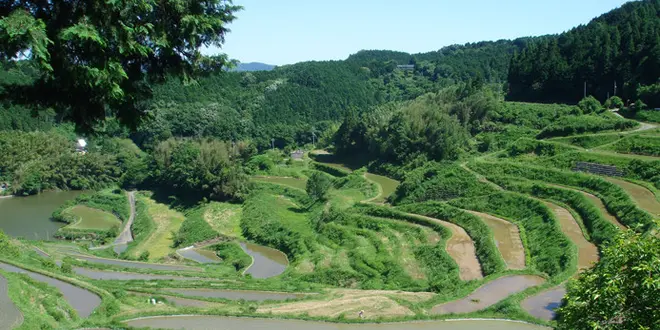 日本一の面積を誇る 岡山の棚田を見にいこう
