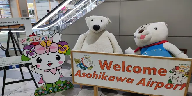 北海道の人気観光地をぐるっと周遊5日間