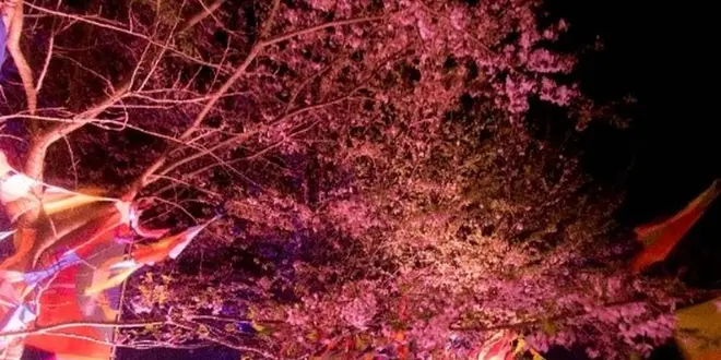 淡路島公園内にできたアニメのテーマパーク「ニジゲンノモリ」満喫プラン