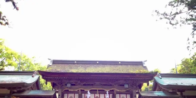 何？！日本の氏神だと？日本の国を鎮め守る社が、こんなとこに…、あるんです！