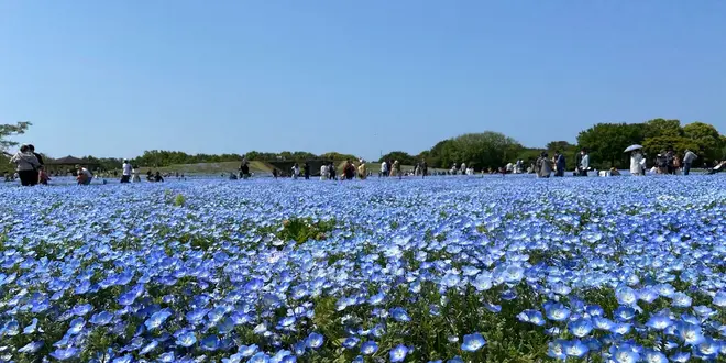春のドライブ　福岡～北九州