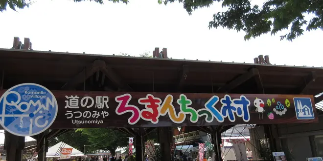 高校生、夏休み先取り！宇都宮で農業!?