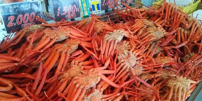 海と山と美食の新潟《前編》～糸魚川市・上越市・十日町市・津南町～