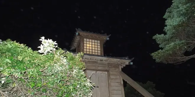 浦賀ナイトハイク