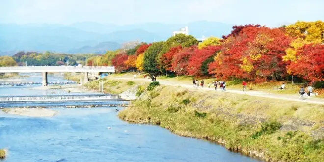 京大生おすすめ、ローカル感満載の京都
