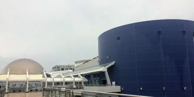 名古屋雨の日デートプラン（水族館編）