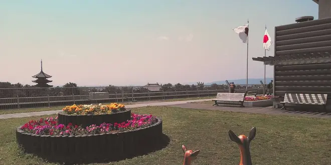 奈良公園界隈 見て歩き&食べ歩き