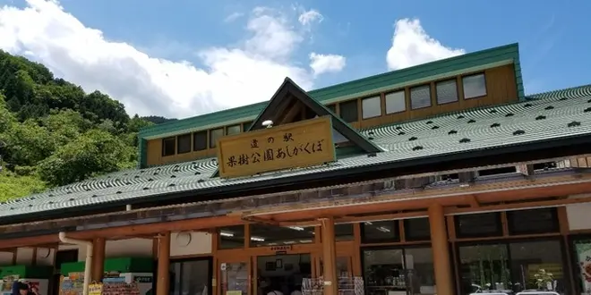 道の駅-埼玉/群馬-1day