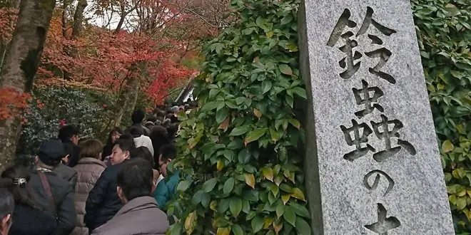 京都の縁結びスポット巡りの小旅