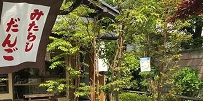 雨でも楽しい鎌倉〜江の島プラン☂️
