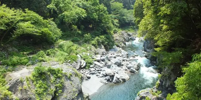 【東京・神奈川】渓谷🏞リスト(10箇所掲載中)