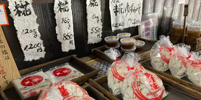 醸造の街・たつのをお散歩＆姫路城登城