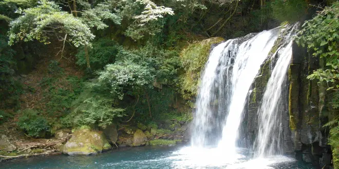 1泊2日旅～静岡・伊豆編～