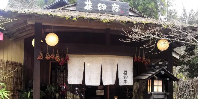 【阿蘇・小国郷】あか牛ランチまとめ