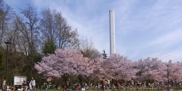 世田谷の絶品パンを持ってお花見に出かけよう！