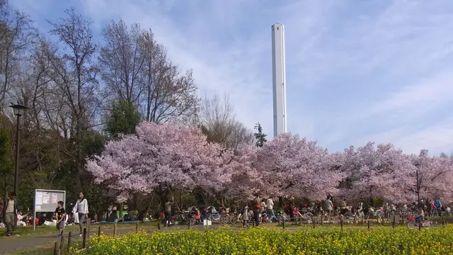 世田谷の絶品パンを持ってお花見に出かけよう！
