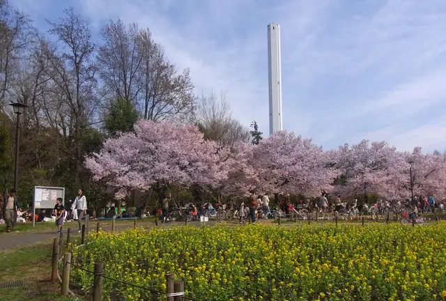 世田谷の絶品パンを持ってお花見に出かけよう！