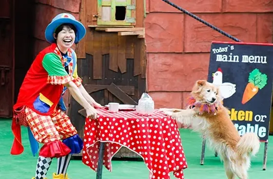 🐶アニマルショー