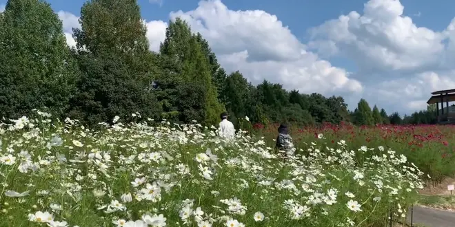 【広島県】三次・庄原いいとこ取り！弾丸日帰り旅🚙