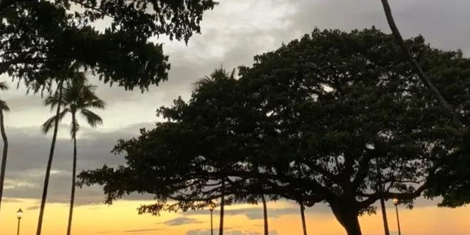 コロナ禍のハワイ旅🌈