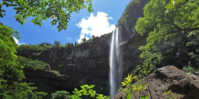 西表島旅行