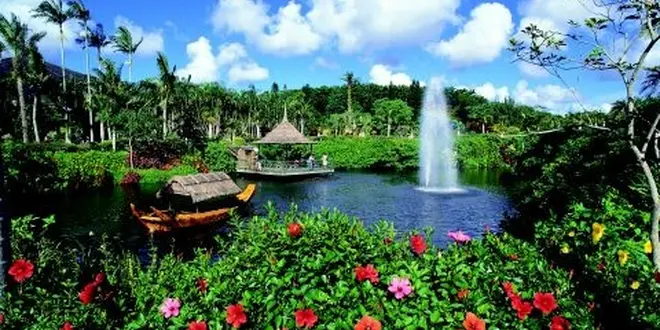 東南植物楽園で南国のイルミネーションを見よう