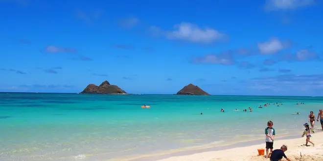 天国の海🏖ラニカイビーチに行こう！絶景の東海岸ツアー✨