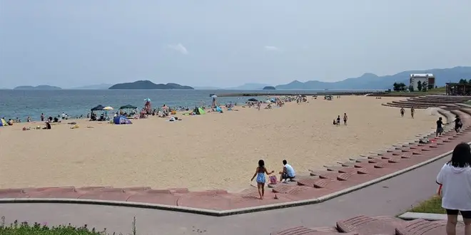 ドライブ