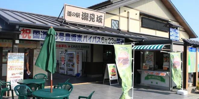 道の駅-静岡/愛知-1day