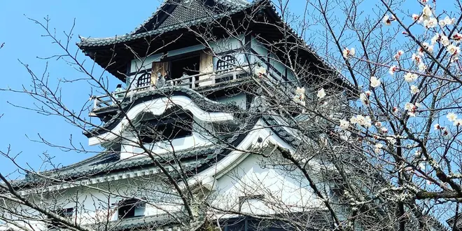 犬山城と男と女（田縣神社と大縣神社）の散策コース