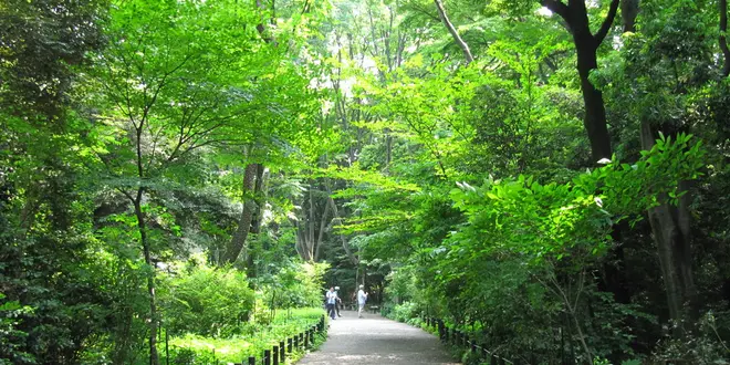 白金周辺を散策♪