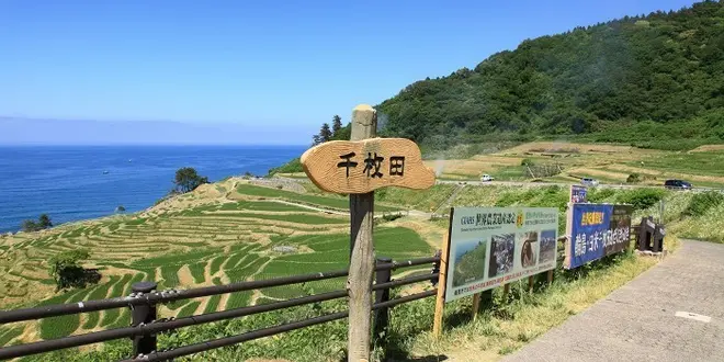 わんこと北陸  とか
