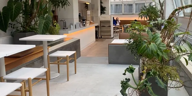 【広島】お洒落な映えカフェ3店舗巡ってきたよ☕️🧡モーニングも☀️