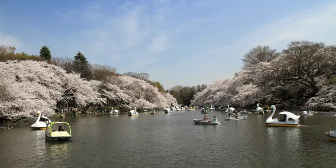 井の頭公園