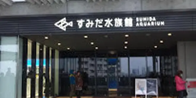 水族館好きにおススメ